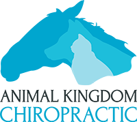 Animal Kingdom Chiropractic